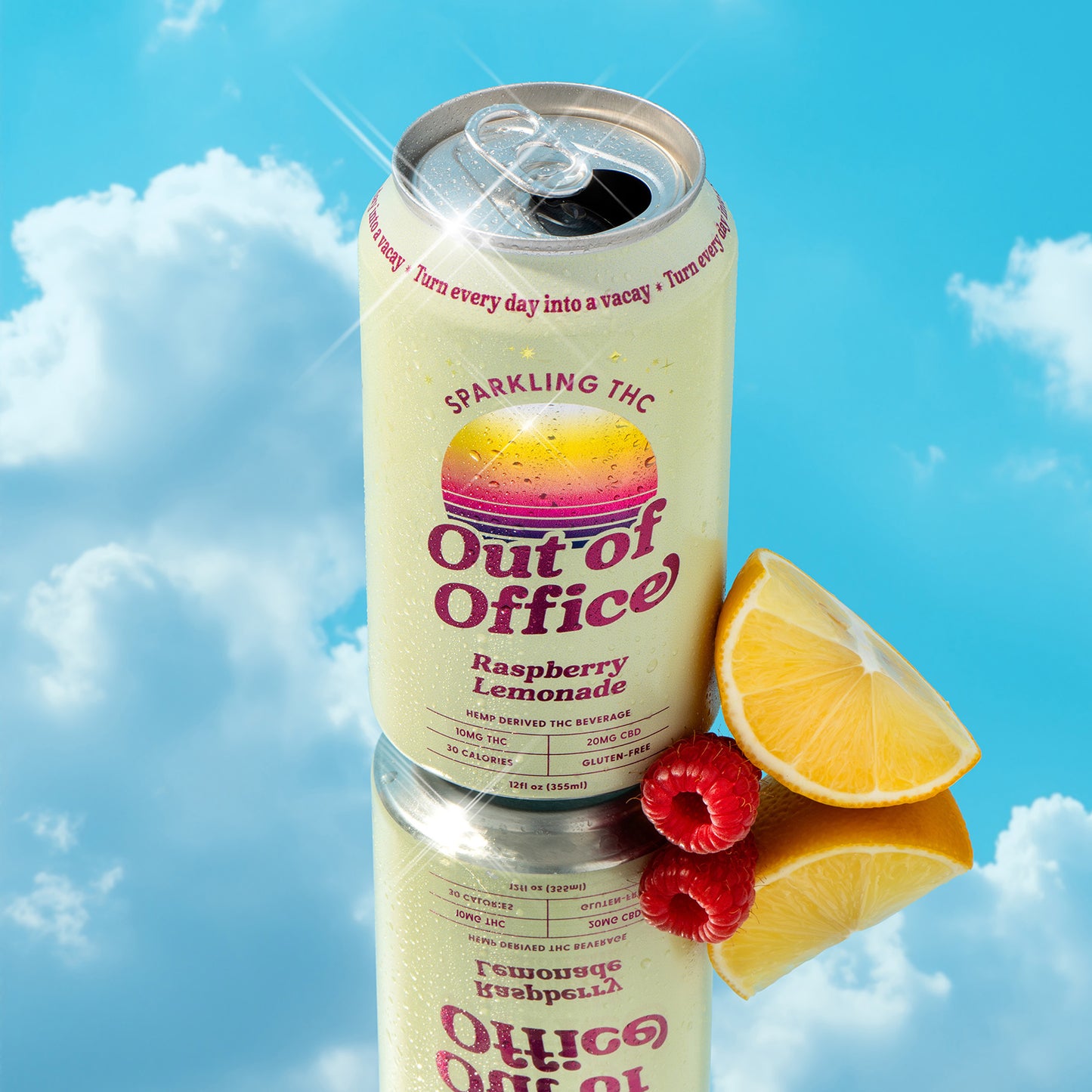 raspberry-lemonade-triple-6 raspberry-lemonade-triple-12 raspberry-lemonade-triple-24