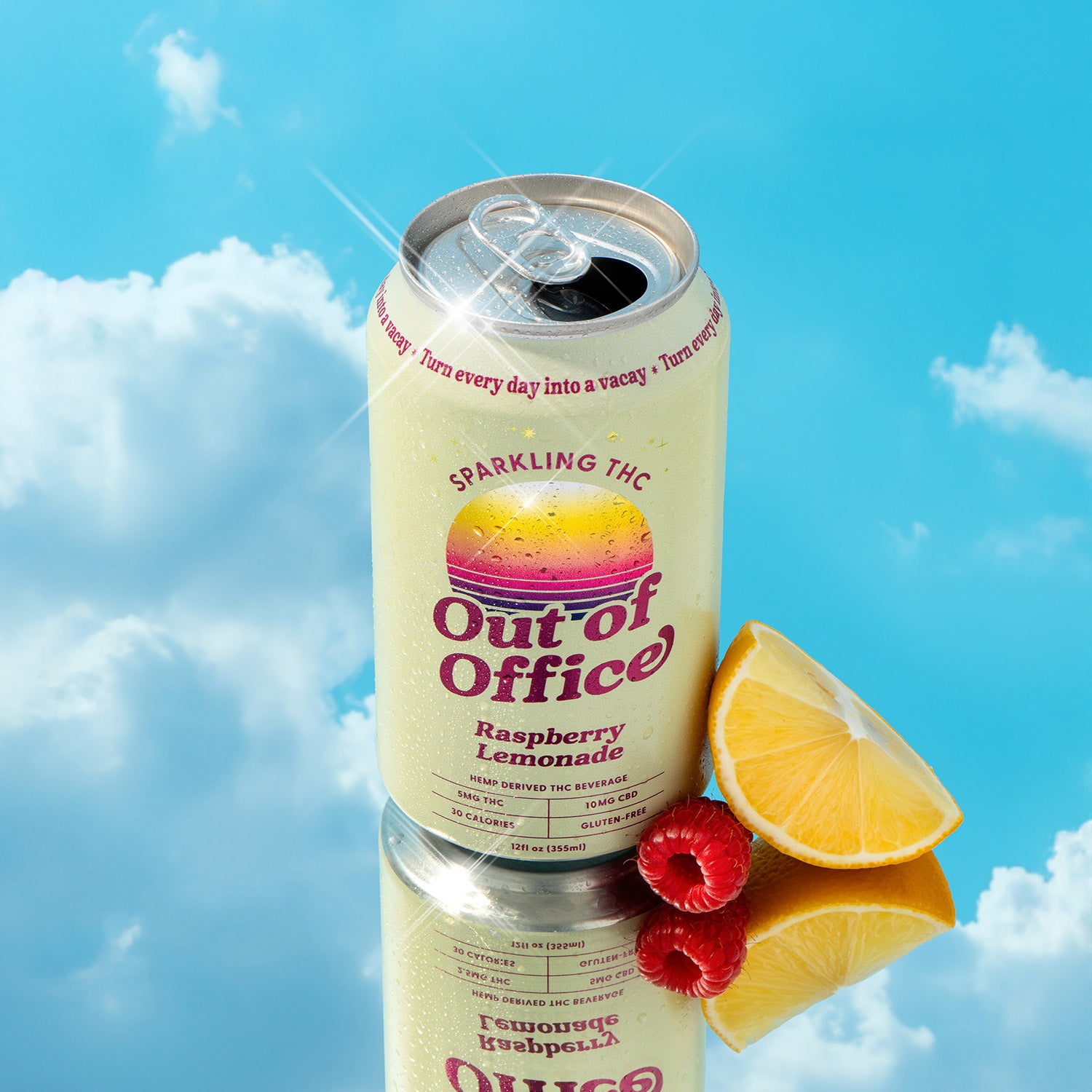 raspberry-lemonade-double-6 raspberry-lemonade-double-12 raspberry-lemonade-double-24